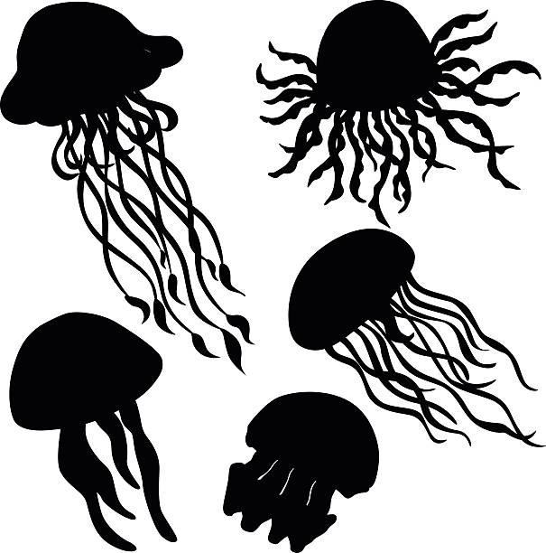 ilustraciones, imágenes clip art, dibujos animados e iconos de stock de ilustración vectorial de diferentes siluetas de medusa - jellyfish