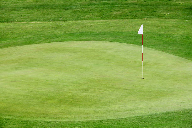 istock Golf flag on the green grass 488611997