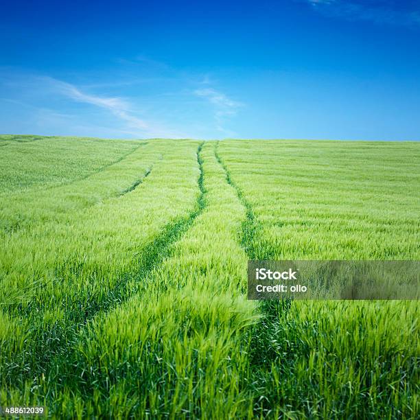 Wheat Field Und Titel Stockfoto und mehr Bilder von Agrarbetrieb - Agrarbetrieb, Blau, Farbbild