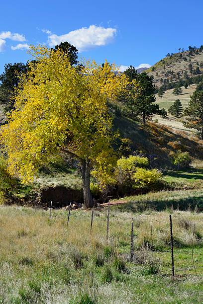 istock Colorado Autumn Landscape 488612579