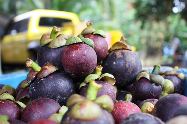 istock Group of Mangosteen in basket 488613629