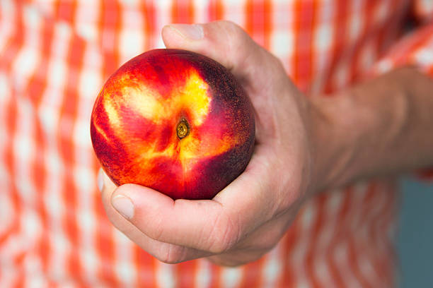 istock closeup of man's hand with a peach 488615586