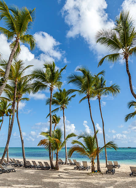 istock Luxury resort beach in Punta Cana 488616753