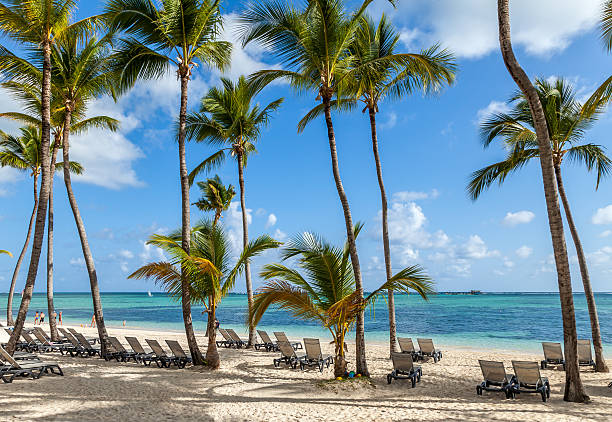 istock Luxury resort beach in Punta Cana 488616759