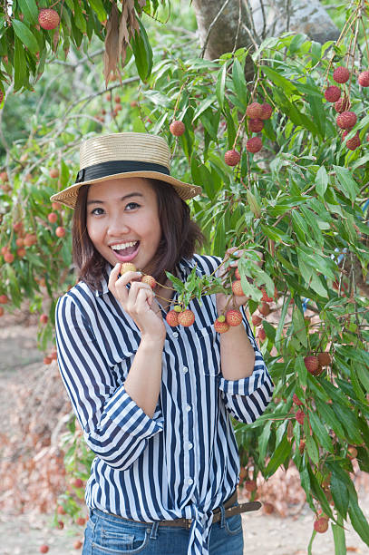 istock woman picking lychees in litchi orchard 488617023