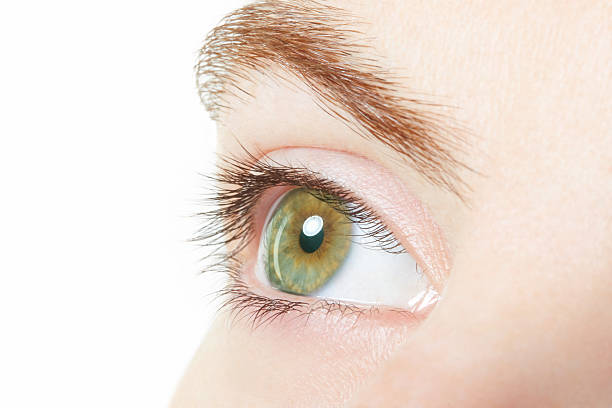 istock Human, green healthy eye macro, vision concept 488634654