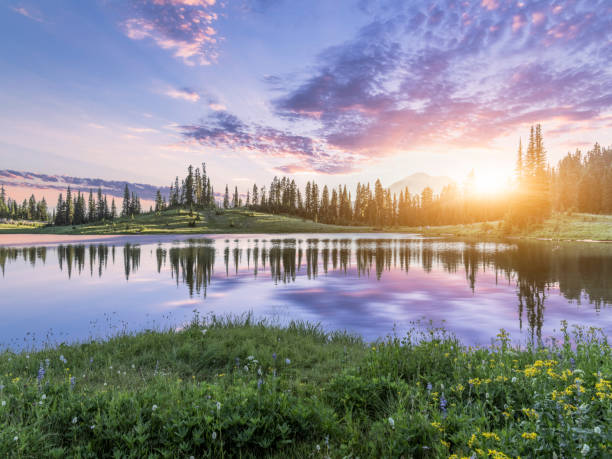 istock Tipsoo Lake of MT.Rainier 488634768