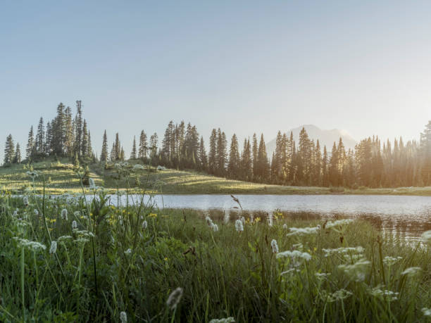 istock Tipsoo Lake of MT.Rainier 488634932