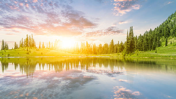 озеро mt.rainier tipsoo - wilderness area usa tree day стоковые фото и изображения