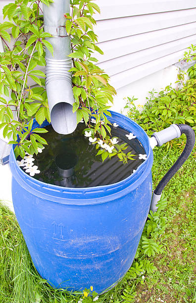 lo scarico di pioggia acqua in un contenitore in plastica corpo in una casa di campagna - natural basin foto e immagini stock