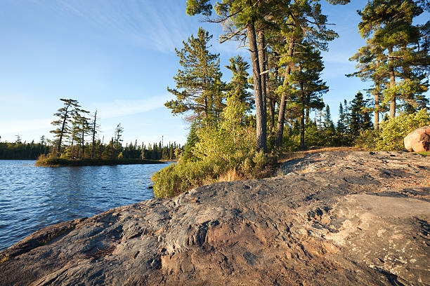 岩の海岸、松の木湖にミネソタ州 - boundary waters canoe area ストックフォトと画像