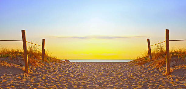 percorso sulla sabbia verso l'oceano a miami beach - sand beach sand dune sea oat grass foto e immagini stock