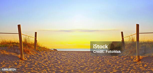 Path On The Sand Going To The Ocean In Miami Beach Stock Photo - Download Image Now - Beach, No People, Florida - US State