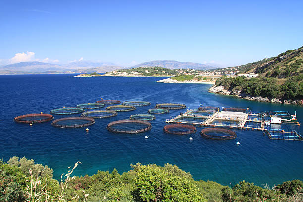 istock Followed by the sea 488639926