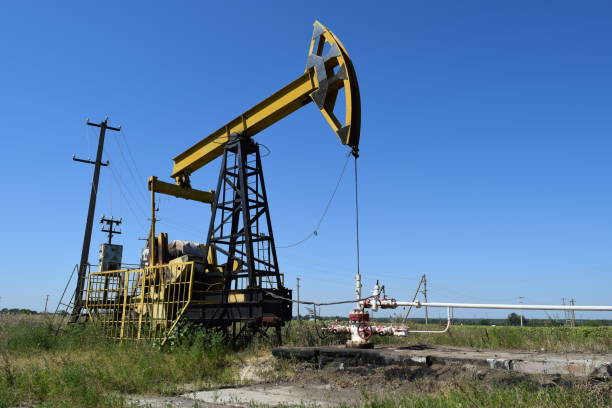 istock Pumping unit as the oil pump installed on a well 488641182