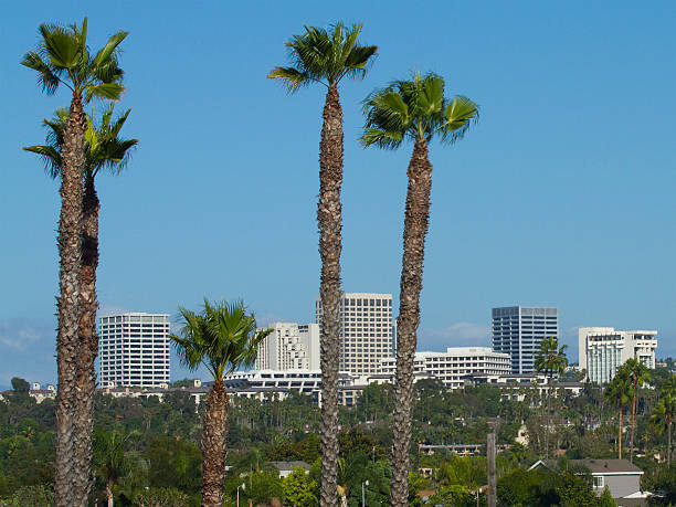 istock Fashion Island - Orange County 488646444