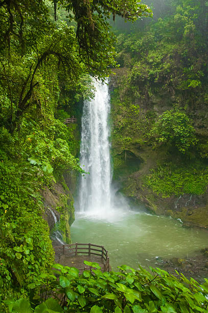 istock Waterfall in La Paz Waterfall Gardens, Costa Rica 488647204