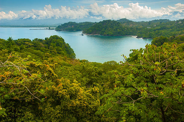 Exploring the Pacific Coast in Costa Rica A dense jungle rainforest opens onto a calm harbor in Quepos near Manuel Antonio National Park. manuel antonio national park stock pictures, royalty-free photos & images