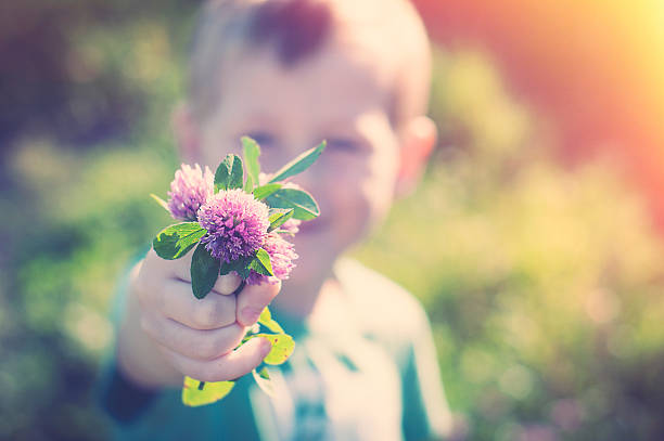 Son gives mom flowers stock photo