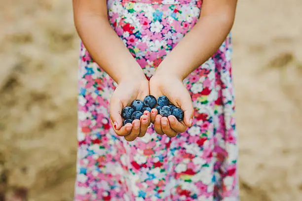 Child holding grapes in hands on the ground
