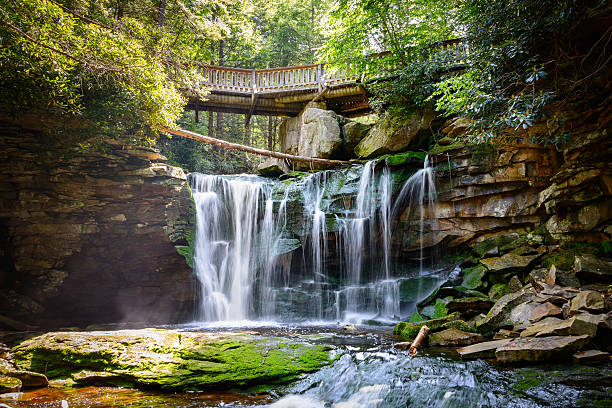 Blackwater Falls State Park Blackwater Falls State Park george washington national forest stock pictures, royalty-free photos & images