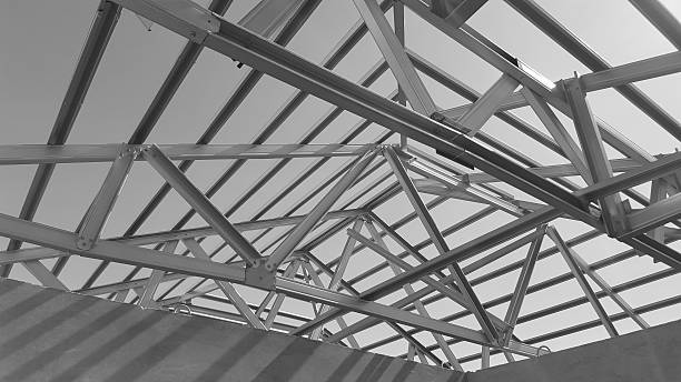 Steel Roof Black and White.