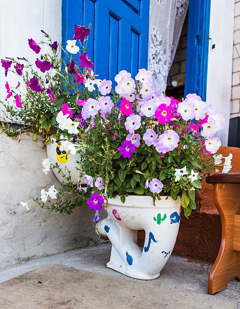 flowerbed  as the toilet.  toilet with flowers