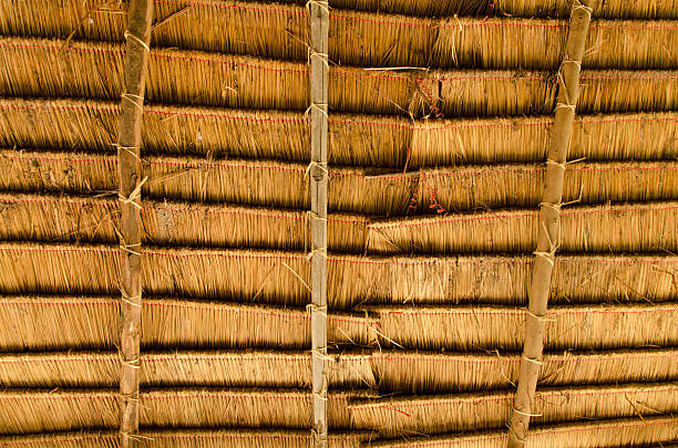 Thatch roof Thatch roof thatched roof hut straw grass hut stock pictures, royalty-free photos & images