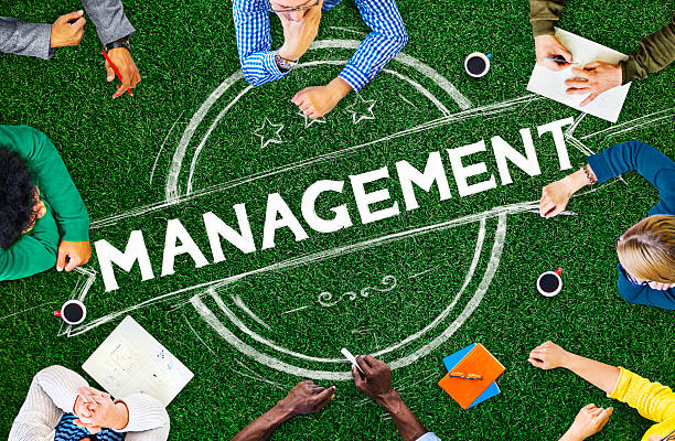istock Management Manager Trainer Director Role Model Concept 488652874