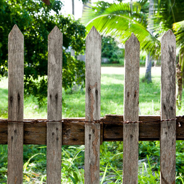 istock Old wood house buried 488653969