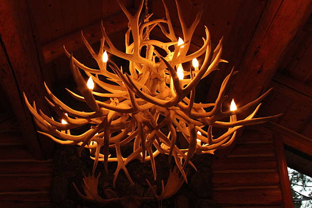 Objects: Antler chandelier Antler chandelier in a log cabin. antler chandelier stock pictures, royalty-free photos & images