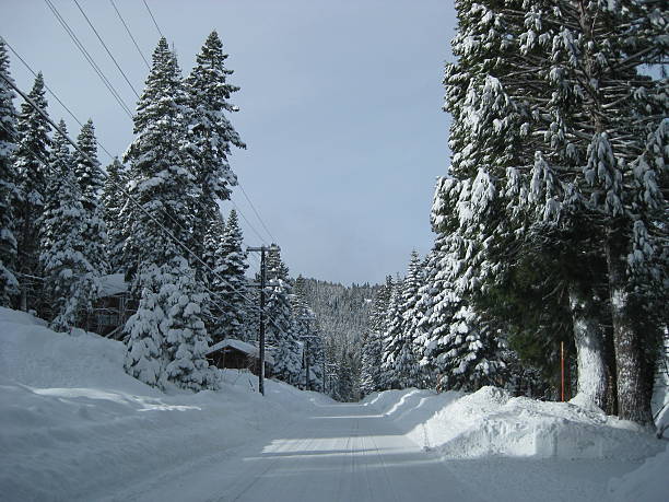 istock Nature: Snow on the trees and the streets 488660222