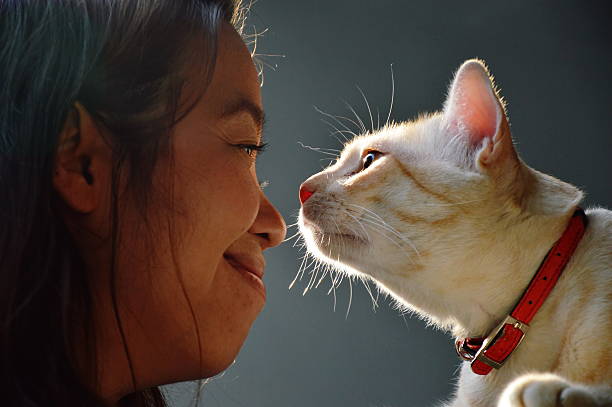 woman and cat eye contract together woman and cat eye contract together cat sniff stock pictures, royalty-free photos & images