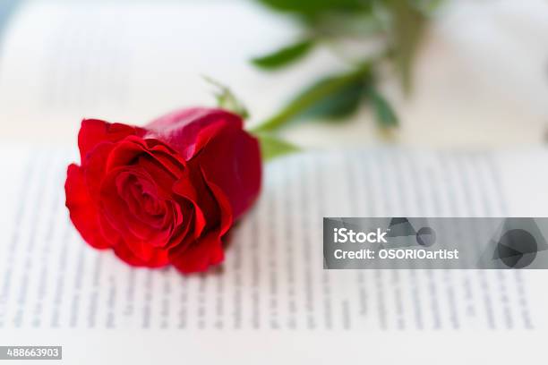 Rote Rose Auf Dem Offenen Buch Stockfoto und mehr Bilder von Atlantikinseln - Atlantikinseln, Begräbnis, Beten