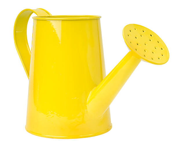 istock yellow watering can isolated on a white background 488664129
