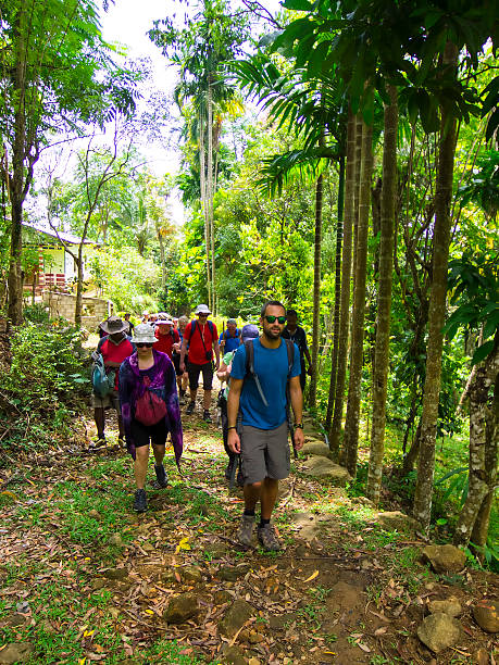 istock Sri Lanka trekking in the forest 488664300