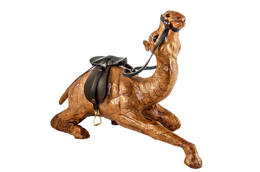 Isolated image of camel figure