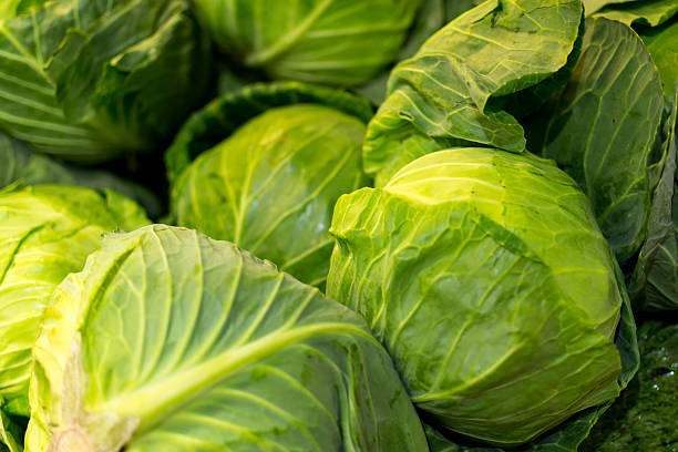 istock Closeup of Fresh Green Cabbages 488665452