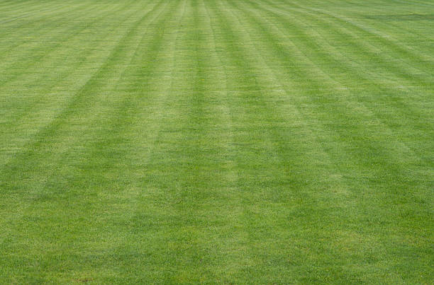 istock Football field 488665641