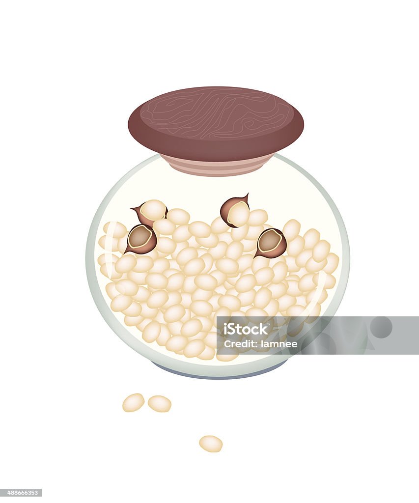 Pile de noix de Macadamia dans un bocal - clipart vectoriel de Aliment libre de droits