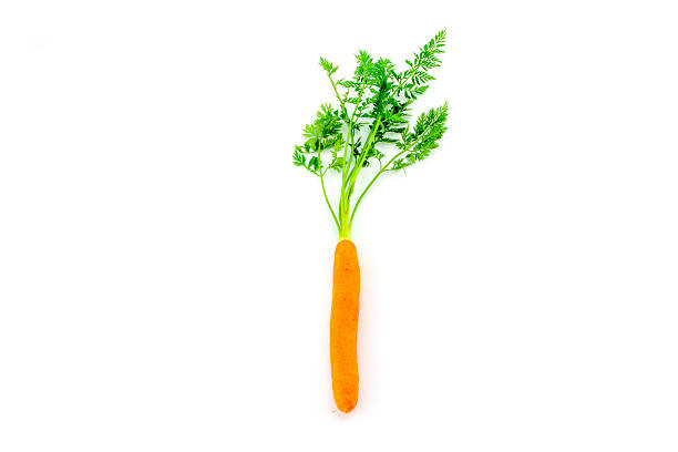 istock Fresh organic carrots on white background 488666395