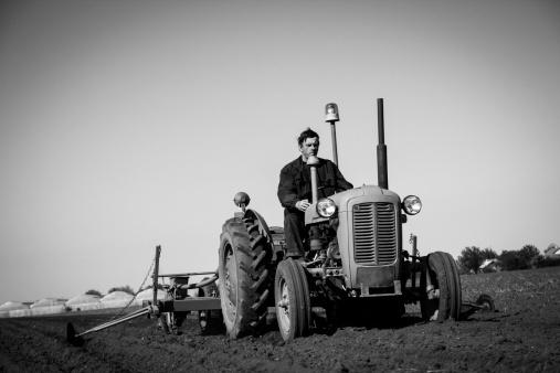 Farmer in  Old-fashioned tractor sowing crops at field, Black and white
