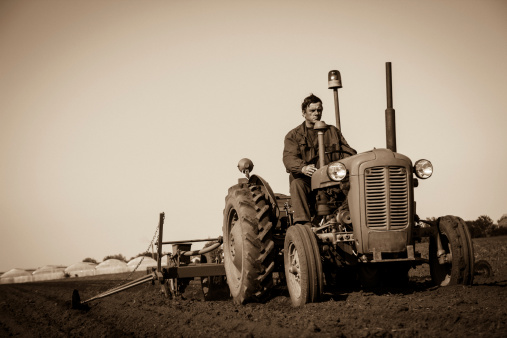 Farmer in  Old-fashioned tractor sowing crops at field, Sepia