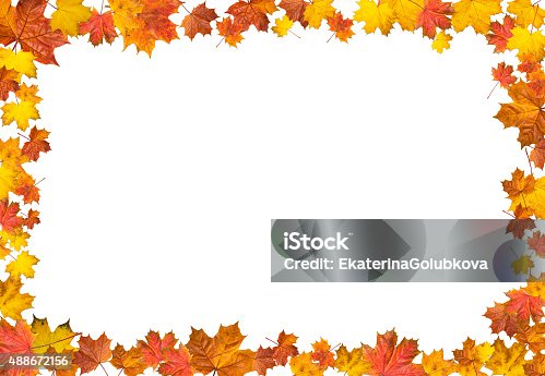 istock Frame made of bright maple leaves. 488672156