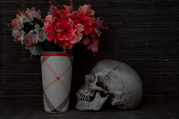 istock Still Life with a Skull and old Flower vintage tone 488672792