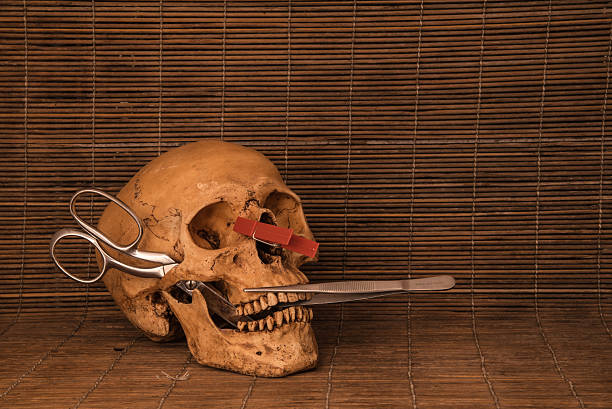 istock Medical concept skull vintage tone 488672968
