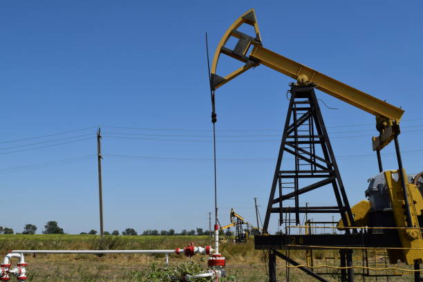 istock Pumping unit as the oil pump installed on a well 488673678
