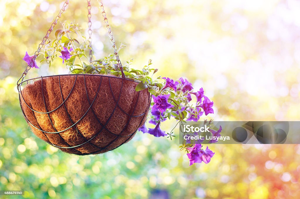 Summertime. Beautiful floral nature background 2015 Stock Photo