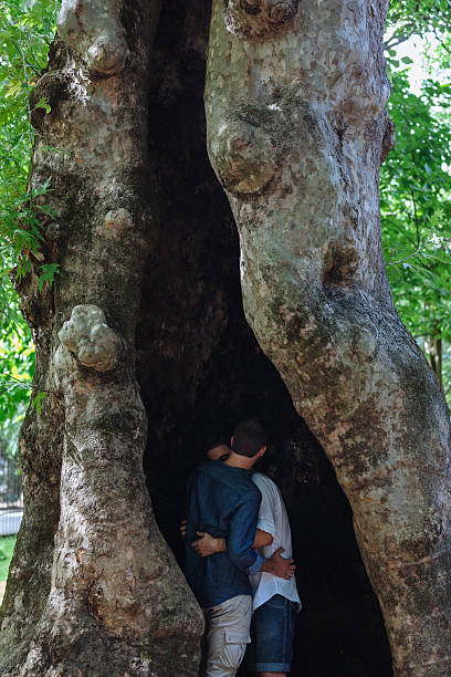 Intimate Gay Kiss into a Hollow Three stock photo