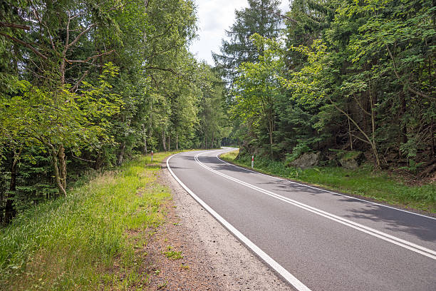 istock Winding road in the forest 488677392